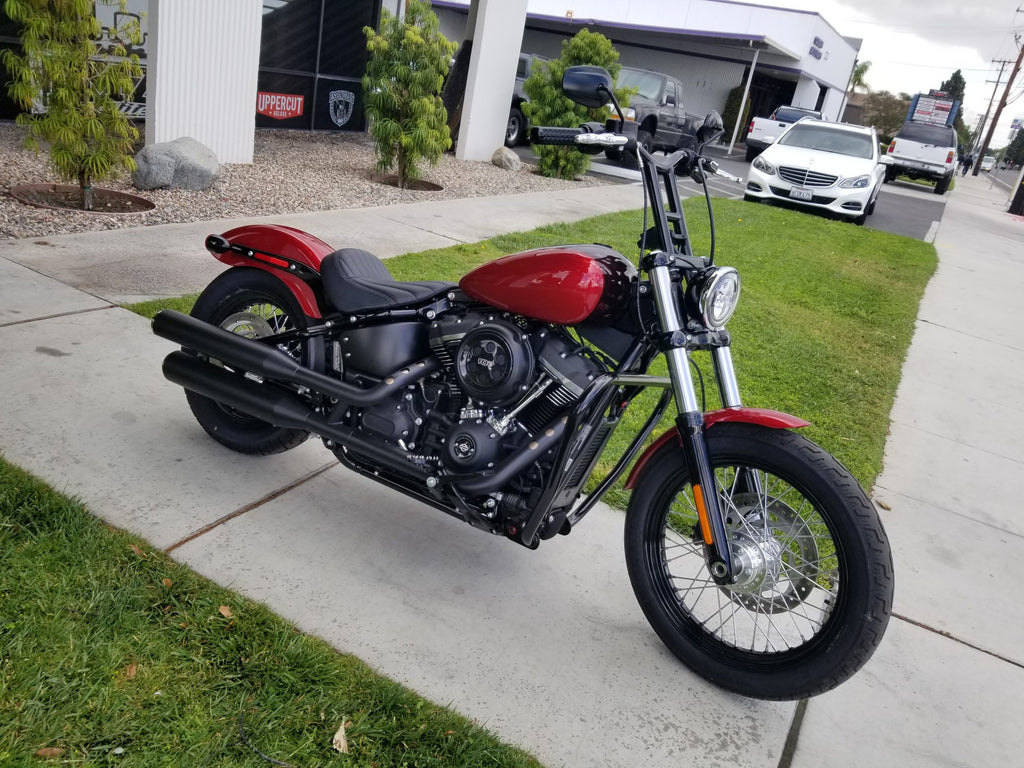 Imzz Elite Dive Bars