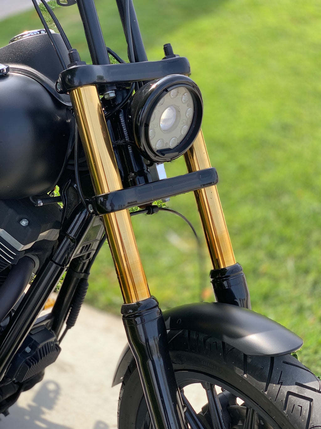 Elite Gold Fork Tubes