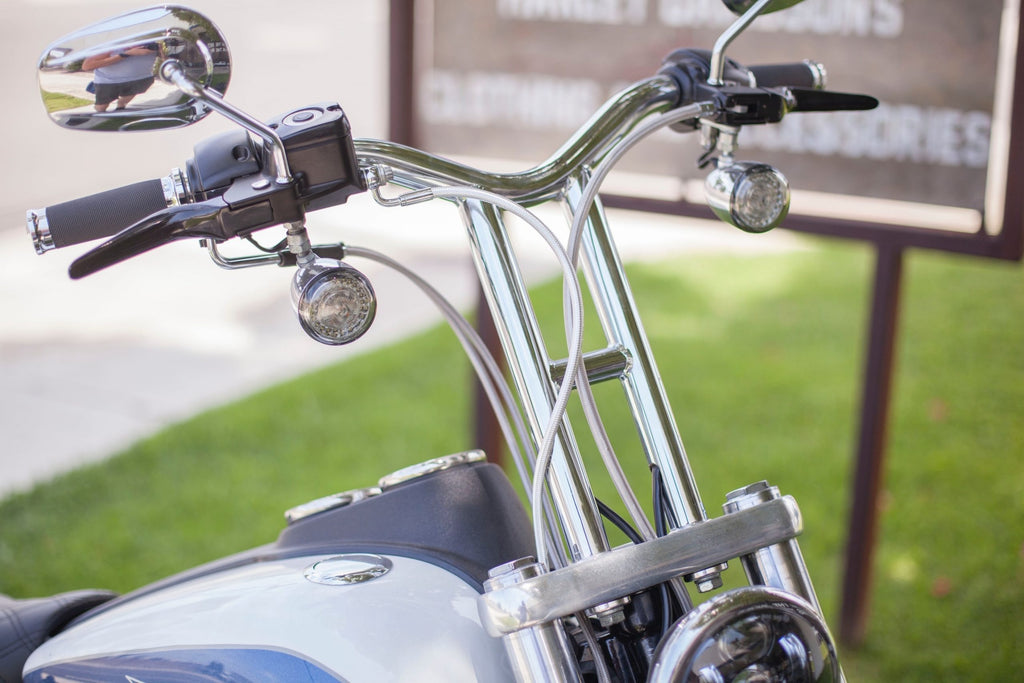 Imzz Elite Dive Bars