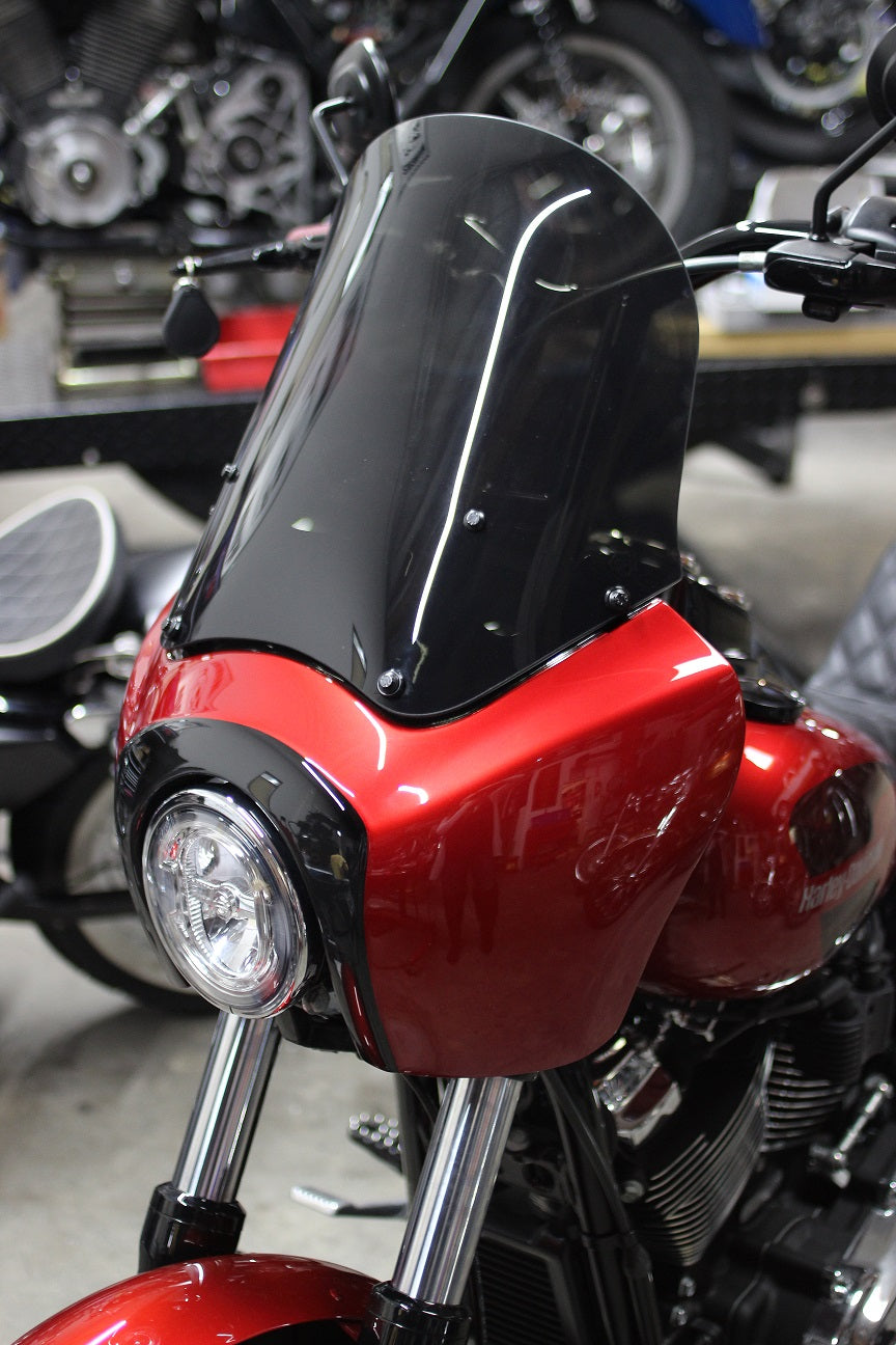 Imzz T-Sport Fairing