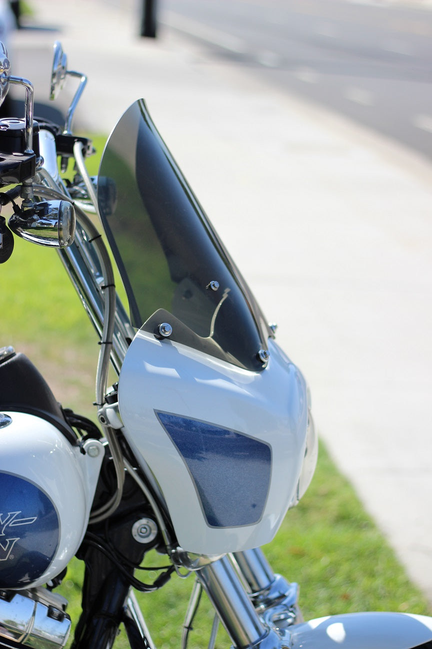 Imzz T-Sport Fairing