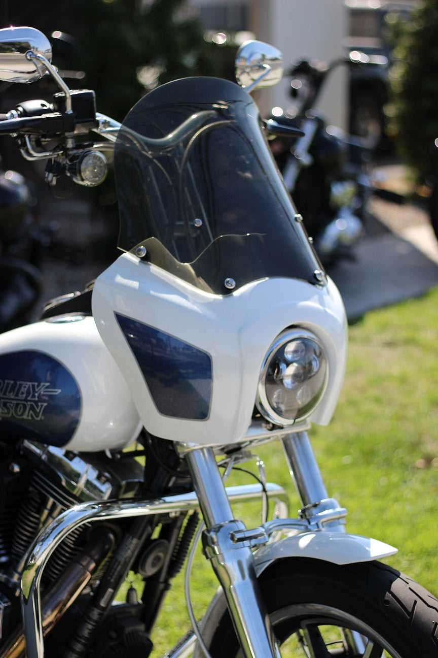 Imzz T-Sport Fairing