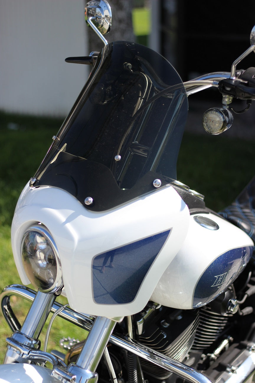 Imzz T-Sport Fairing