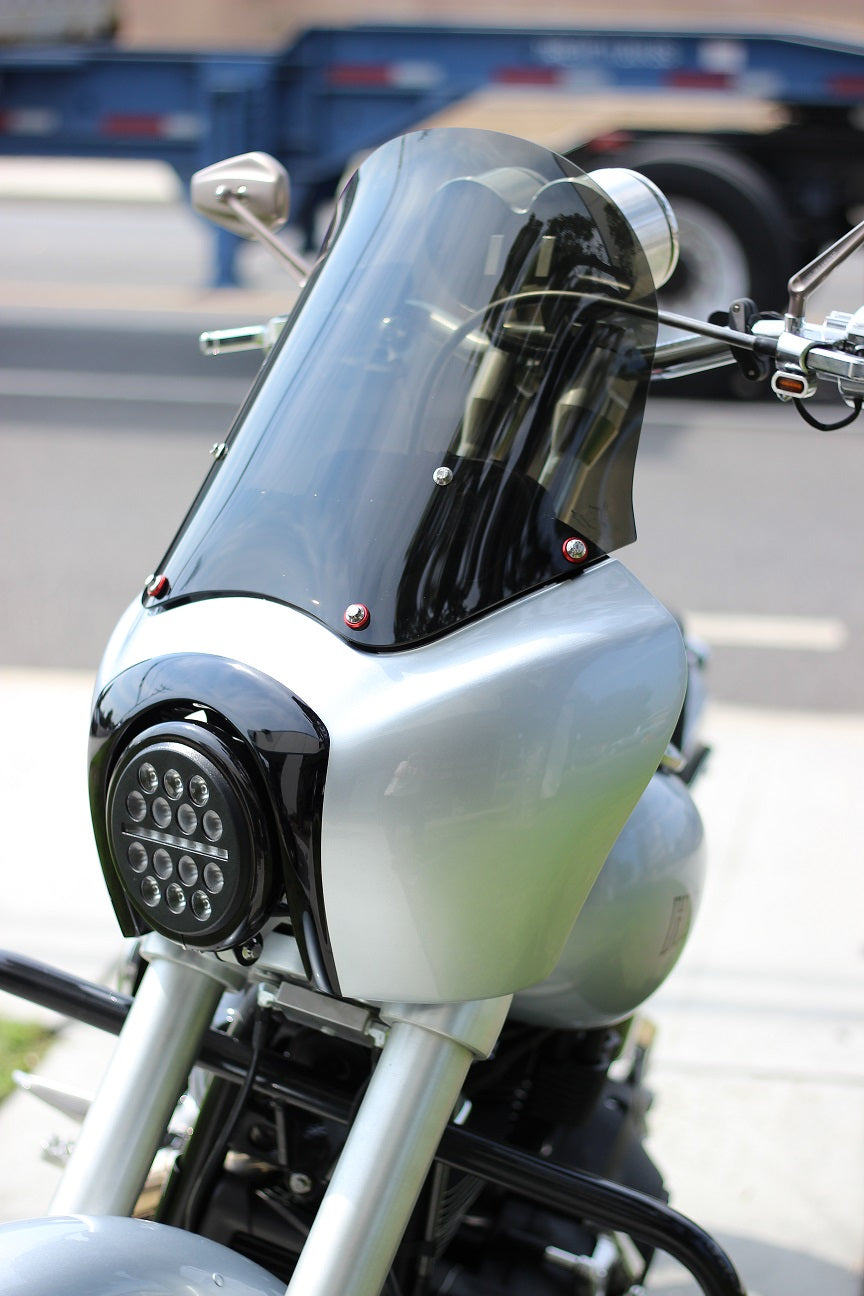 Imzz T-Sport Fairing