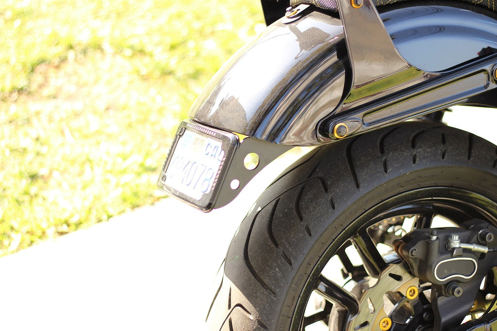 cycle visions dyna plate mount