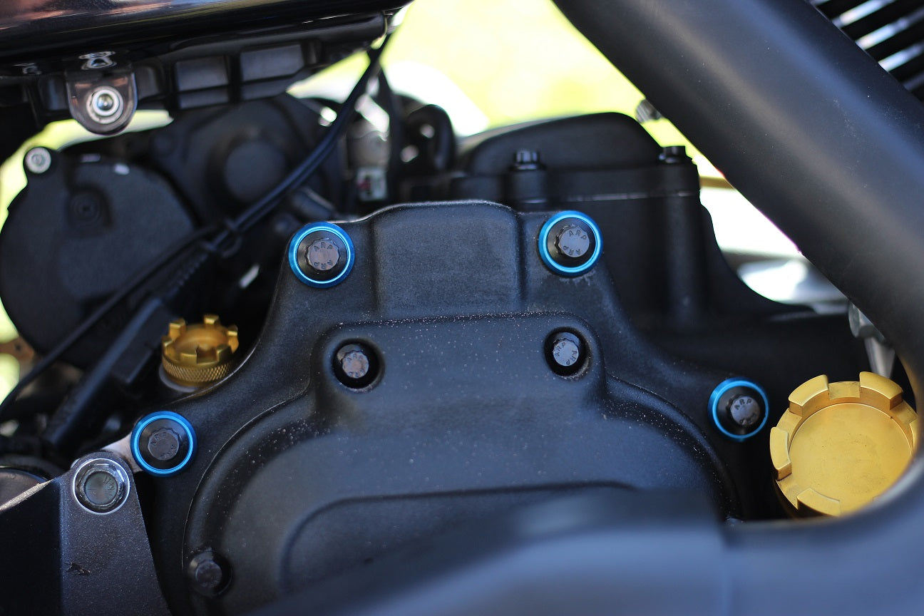 ARP 6 Speed Transmission Trap Door