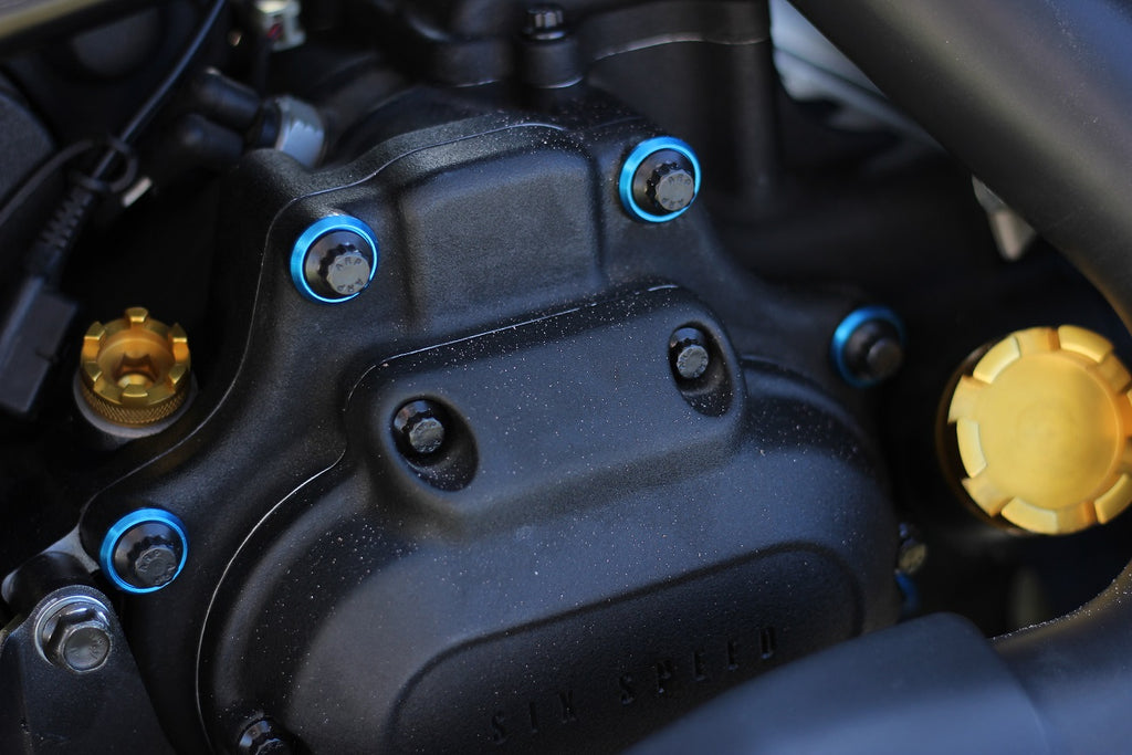 ARP 6 Speed Transmission Trap Door