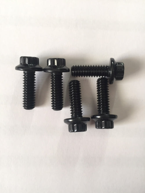 ARP Derby Cover Bolt Kit for Twin Cam