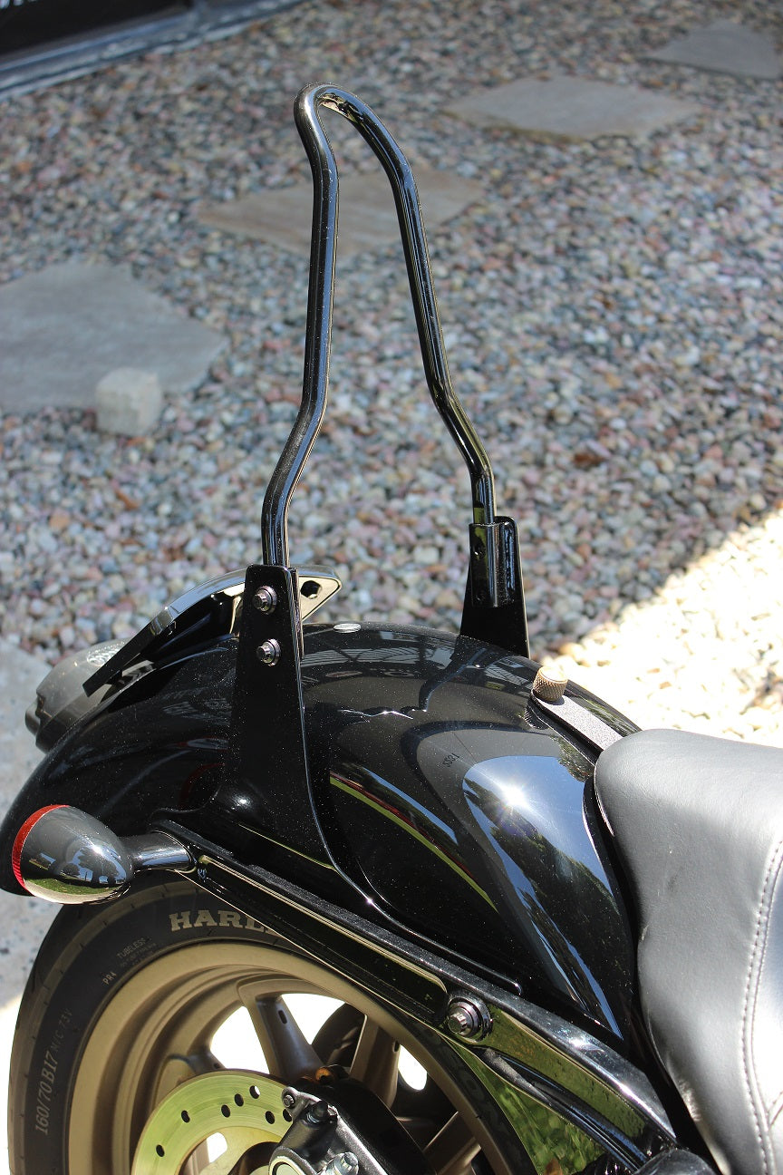 Elite Signature Sissy Bar Kit