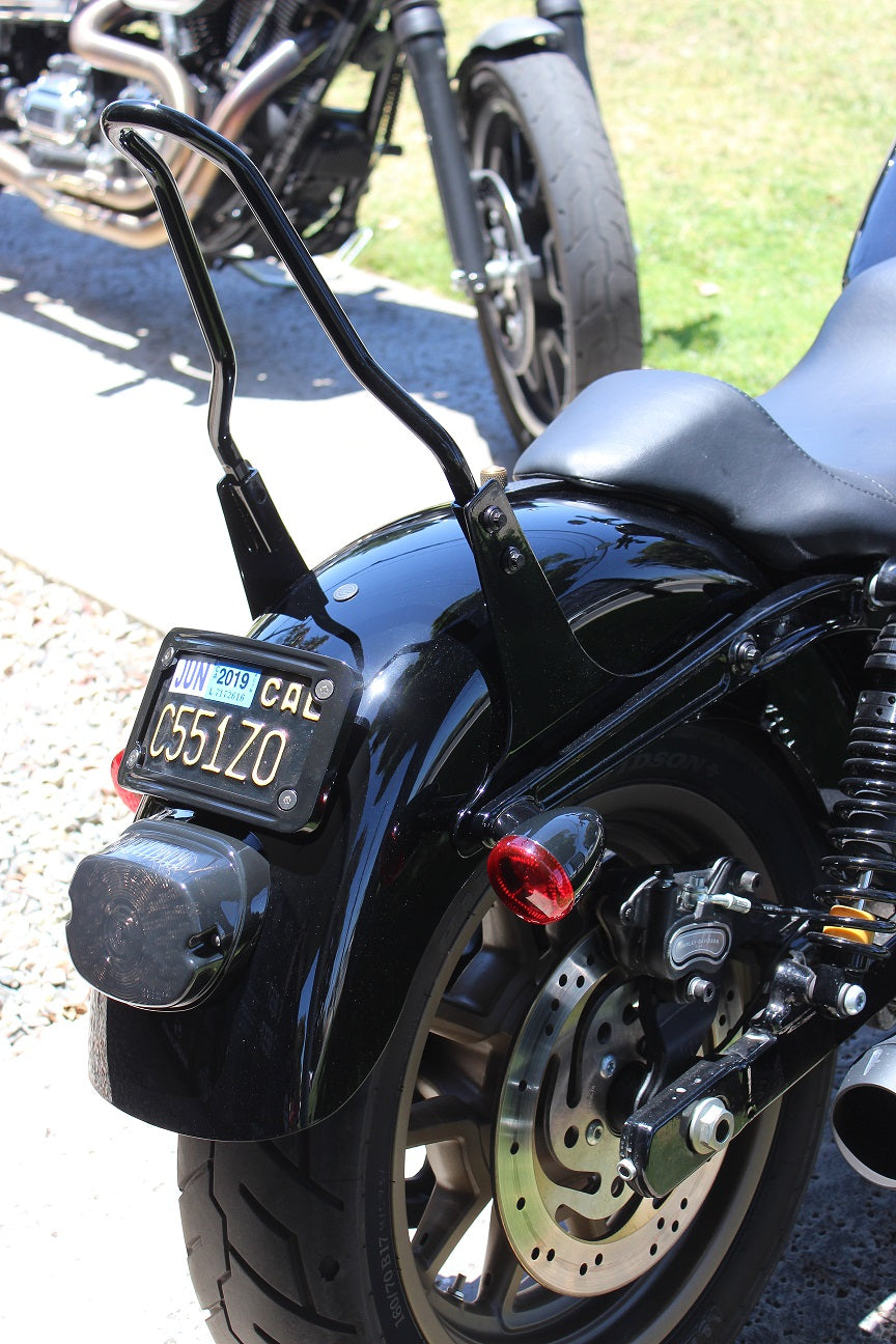 Elite Signature Sissy Bar Kit