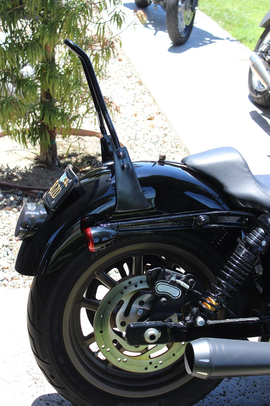 Elite Signature Sissy Bar Kit