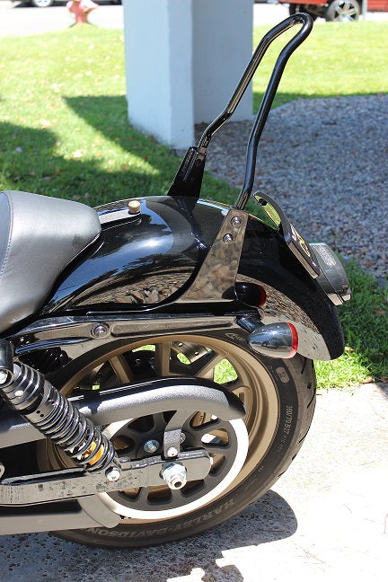 Elite Signature Sissy Bar Kit