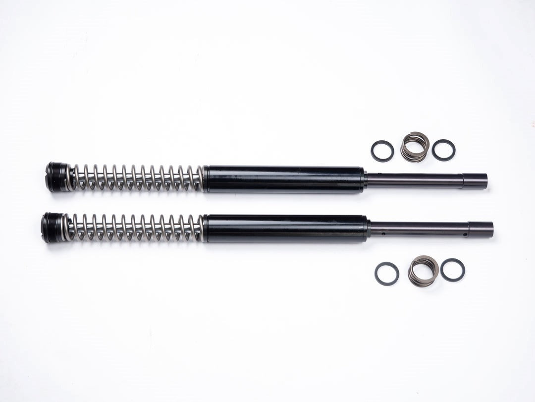 RWD RS-1F Softail FXBB 49MM Fork Cartridge System