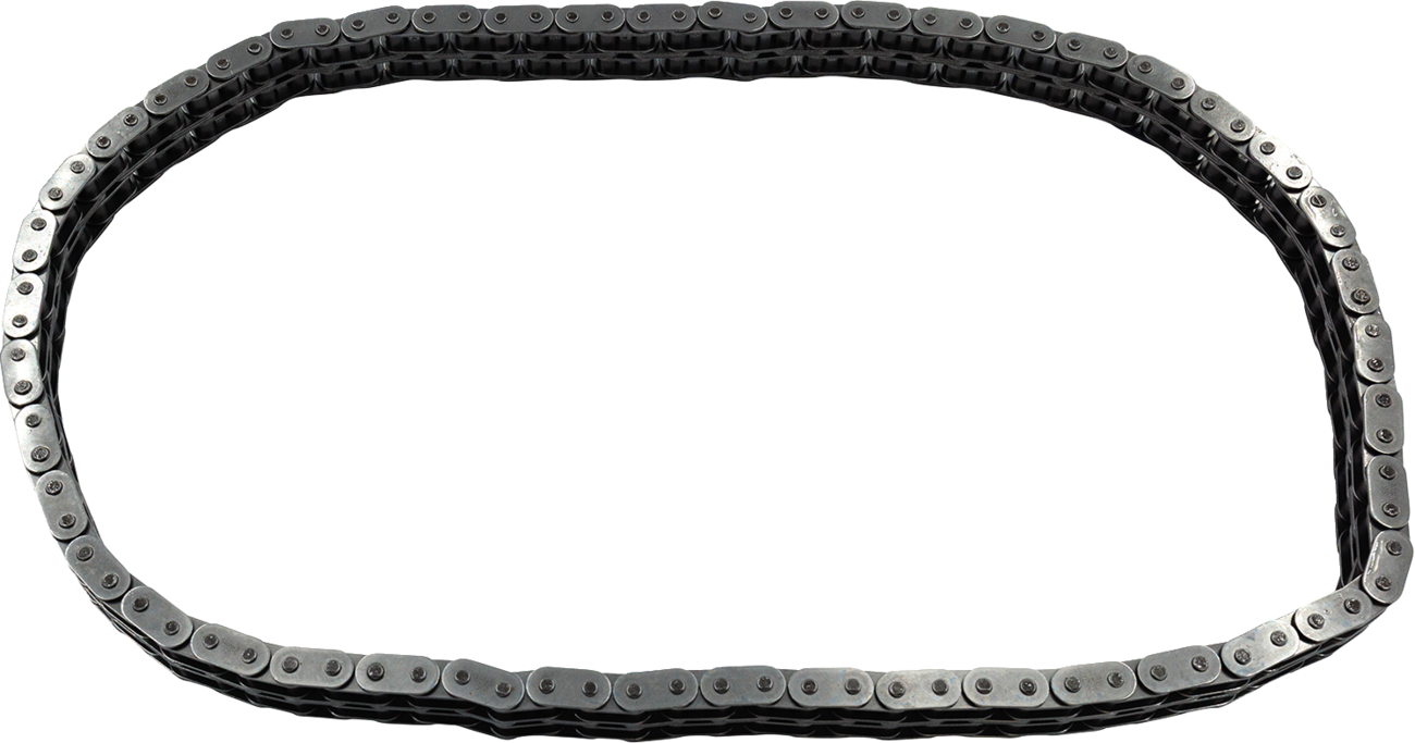 S&S Cycle Primary Chain