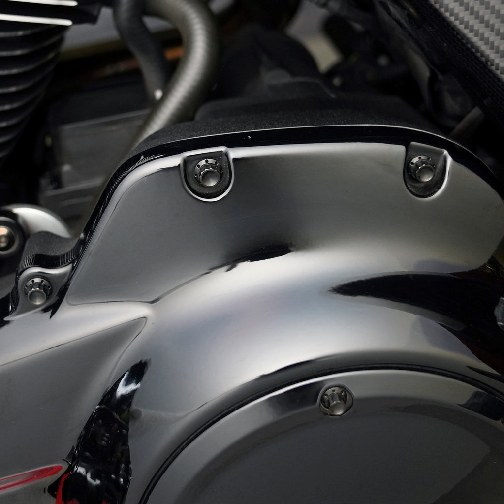 Arlen Ness Titanium Derby Cover Bolts