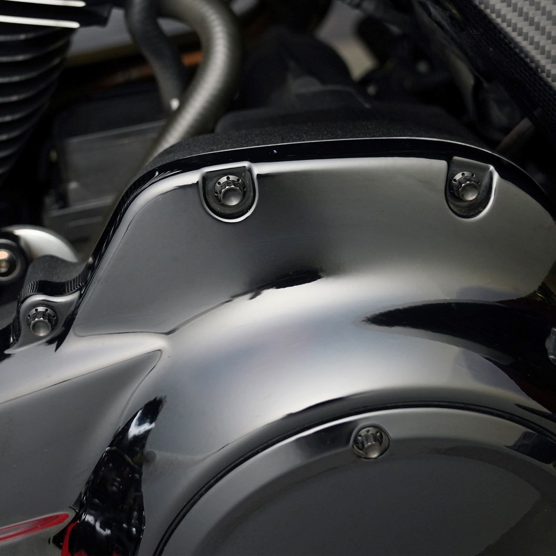 Arlen Ness Titanium Derby Cover Bolts