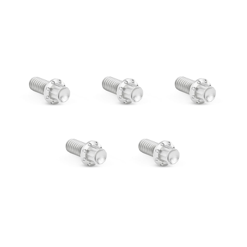 Arlen Ness Titanium Derby Cover Bolts