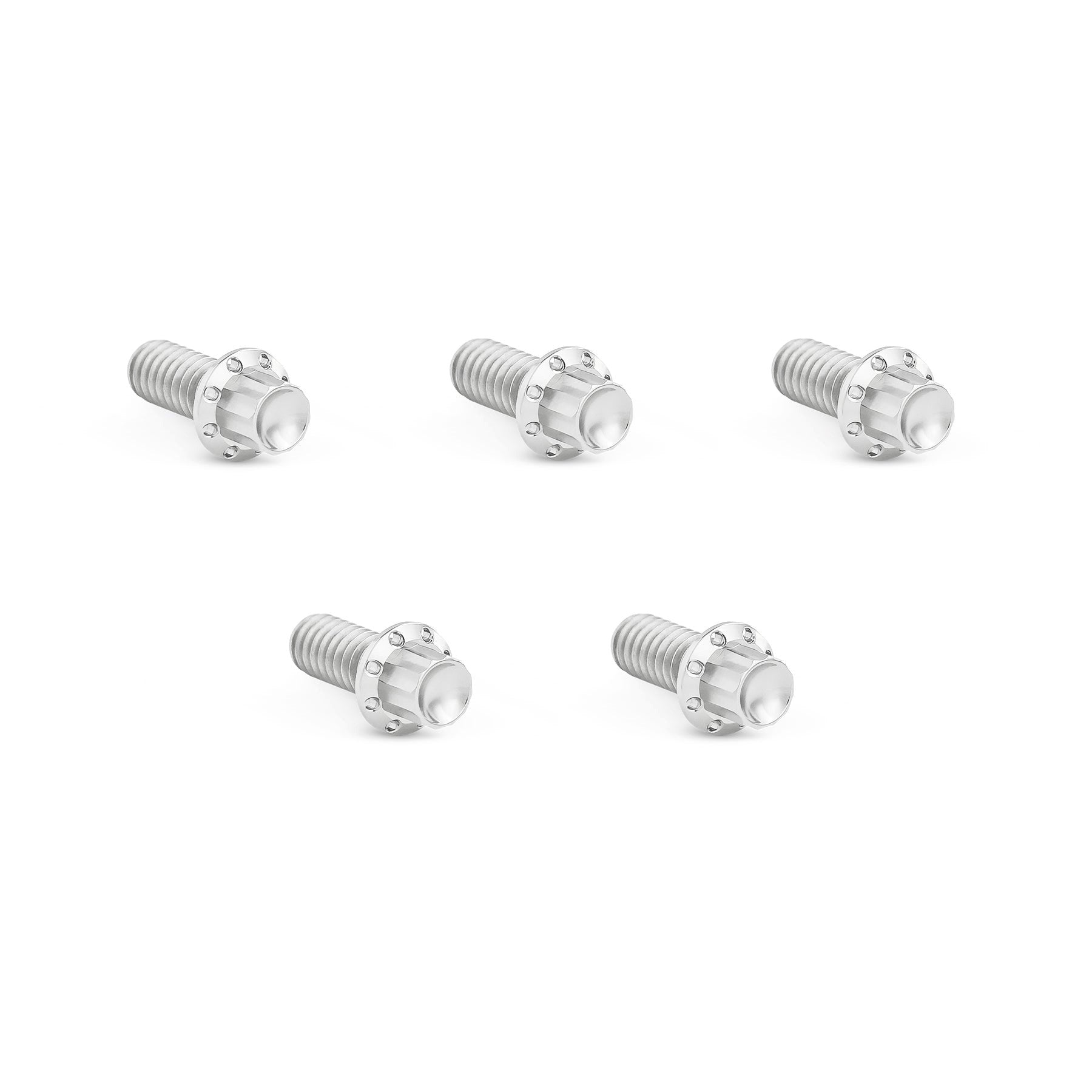 Arlen Ness Titanium Derby Cover Bolts