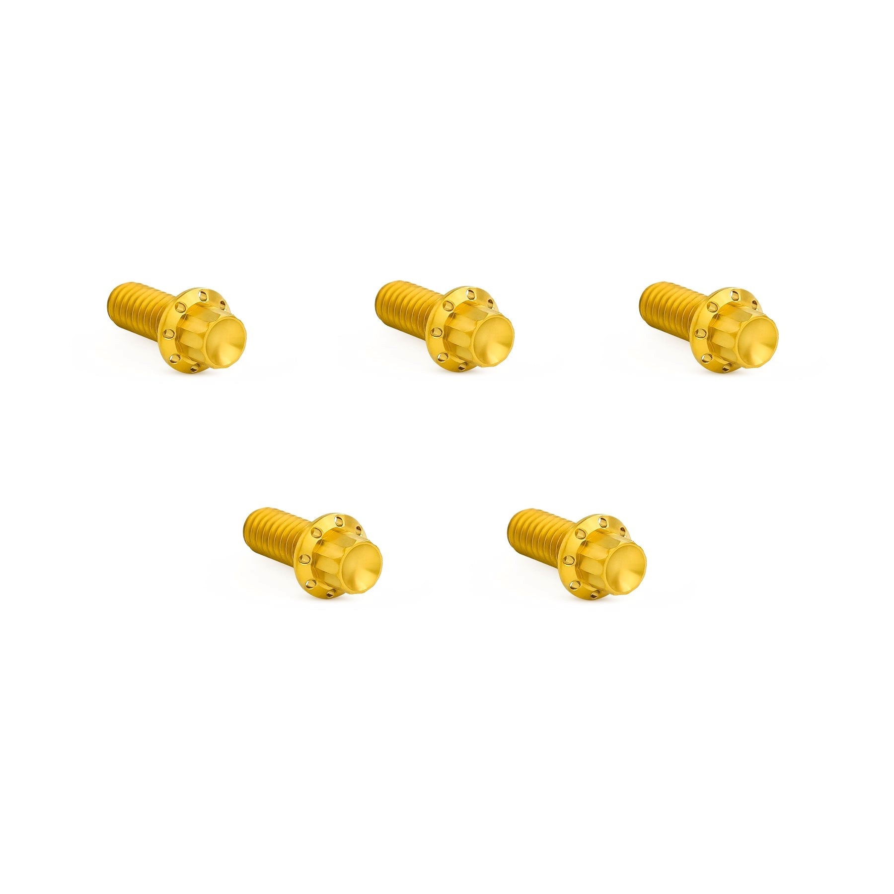 Arlen Ness Titanium Derby Cover Bolts