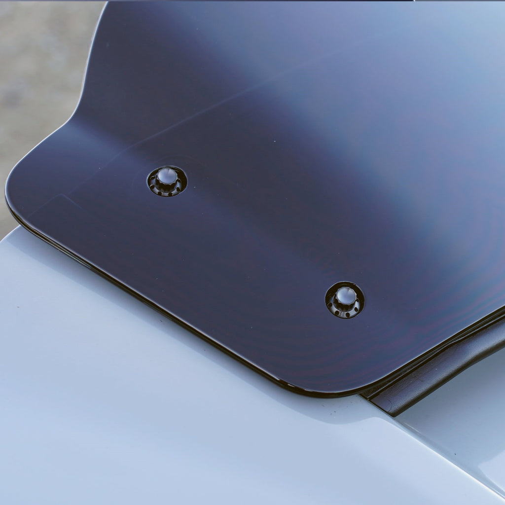 Arlen Ness Titanium Windshield Bolts for Bagger