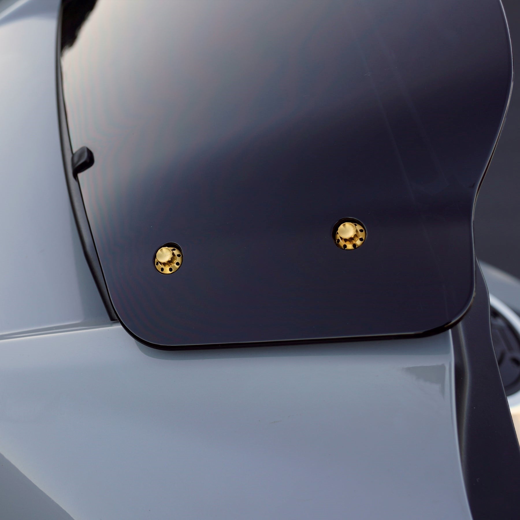 Arlen Ness Titanium Windshield Bolts for Bagger