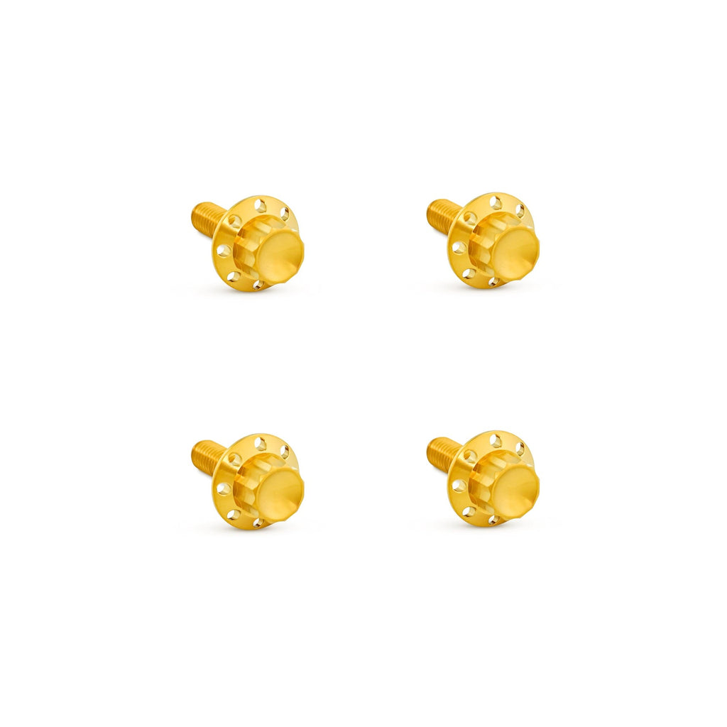 Arlen Ness Titanium Windshield Bolts for Bagger