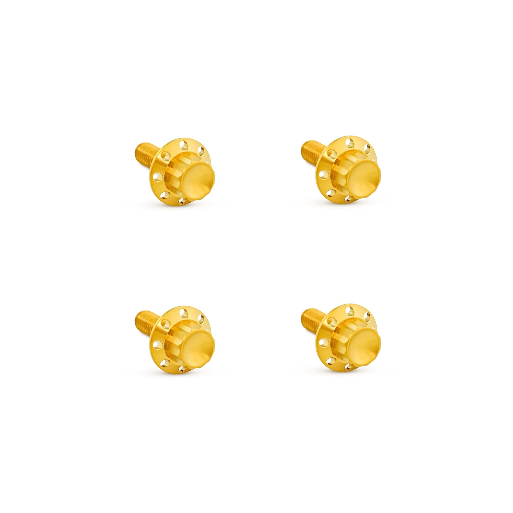 Arlen Ness Titanium Windshield Bolts for Bagger