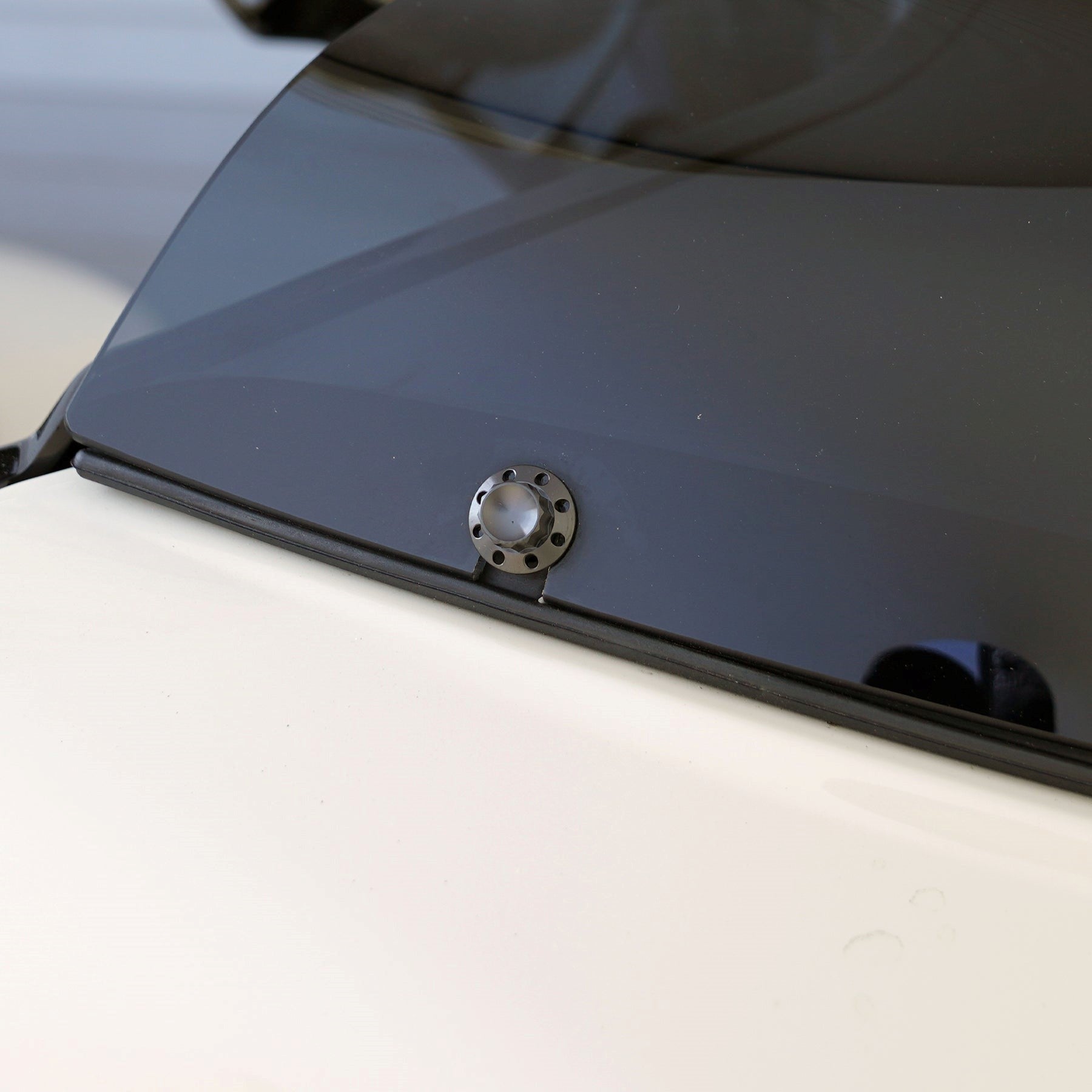 Arlen Ness Titanium Windshield Bolts for Bagger