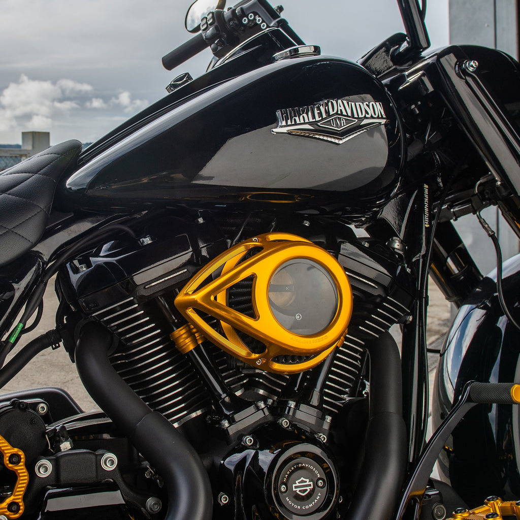 Arlen Ness Clear Tear Series Air Cleaner Kit