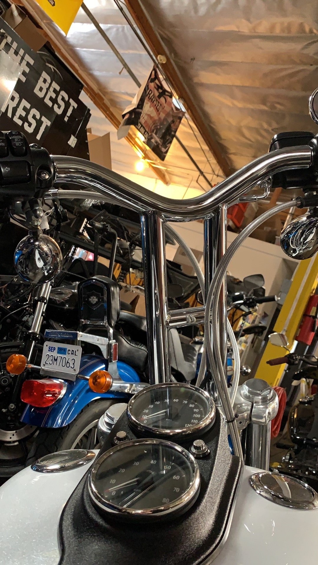 Imzz Elite Dive Bars