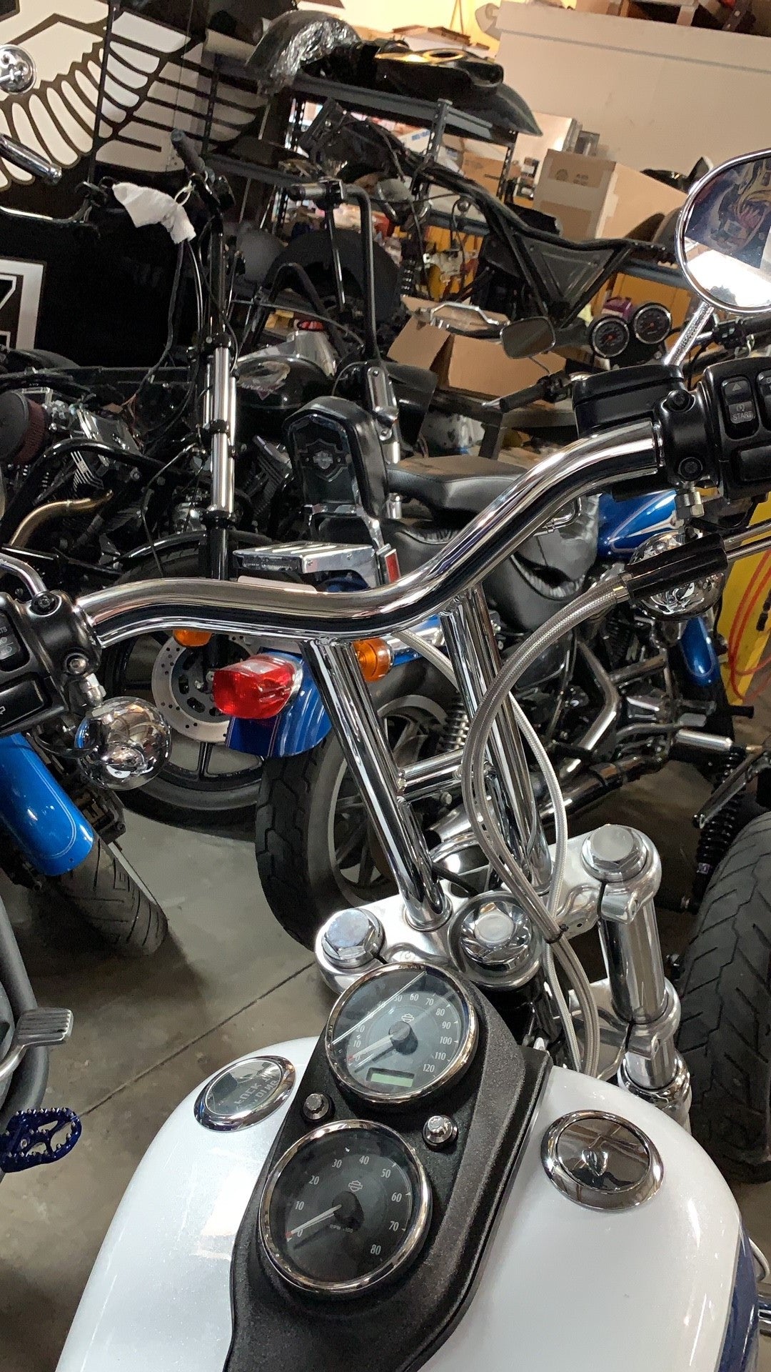 Imzz Elite Dive Bars