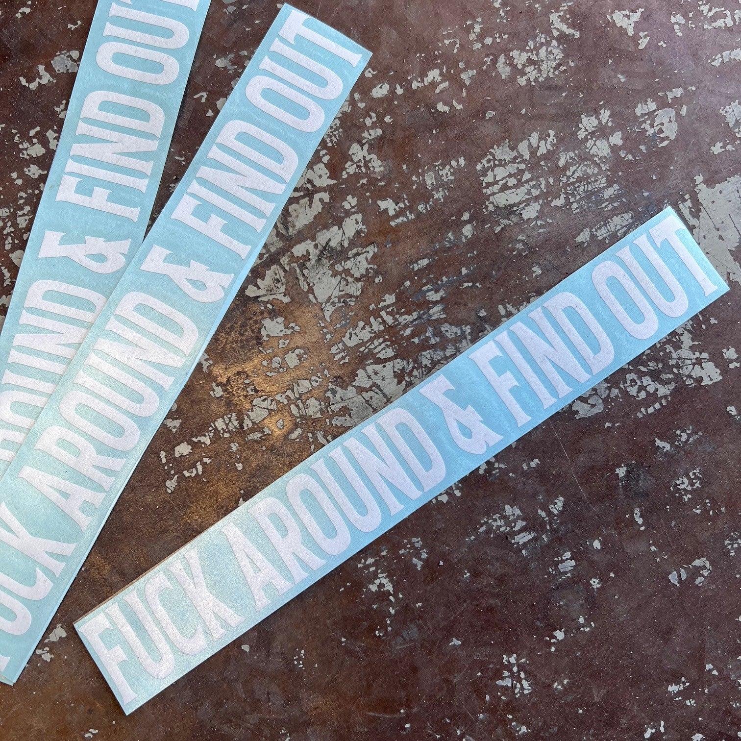 Fuck Around & Find Out Swingarm Sticker