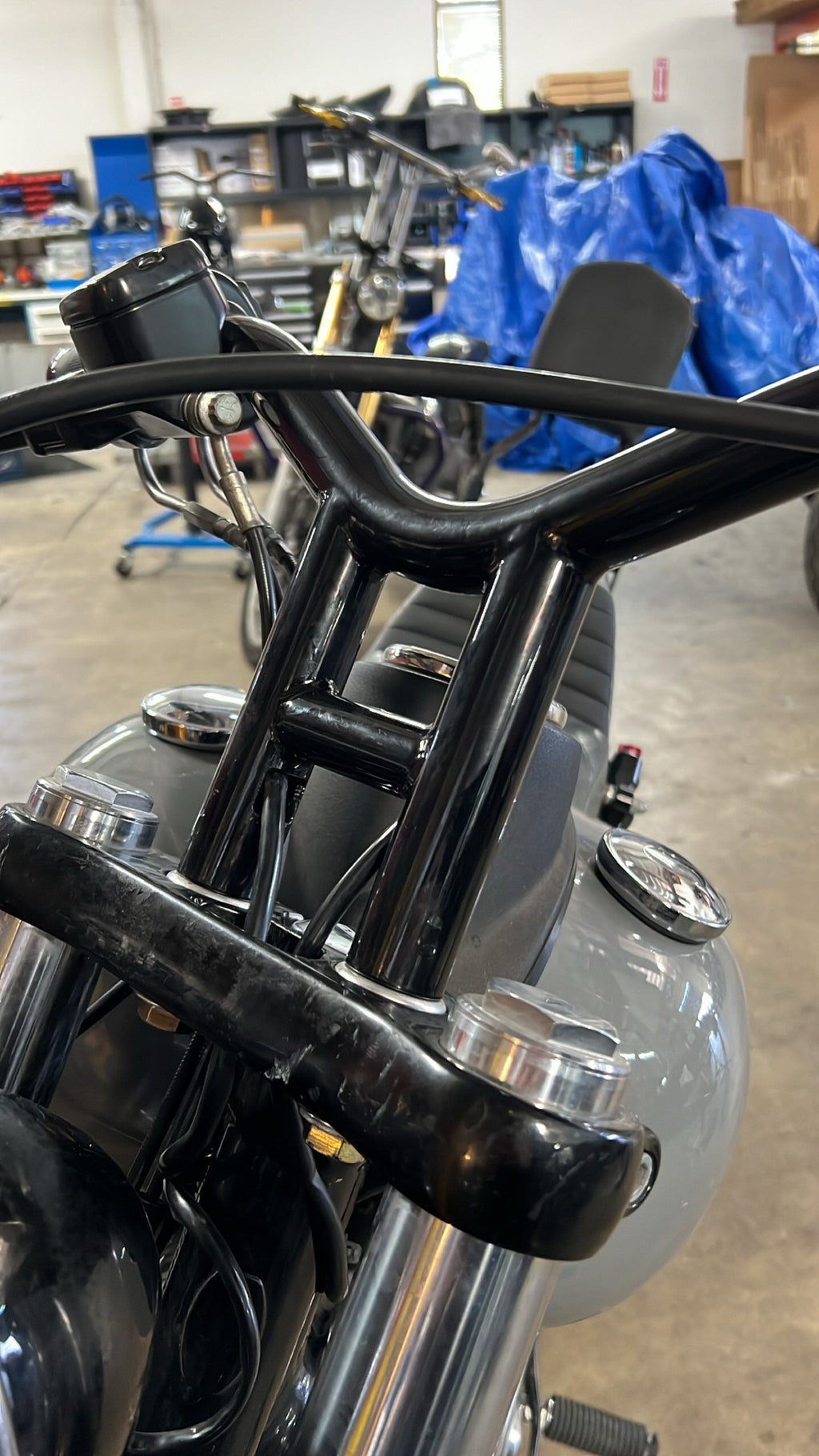 Imzz Elite Dive Bars