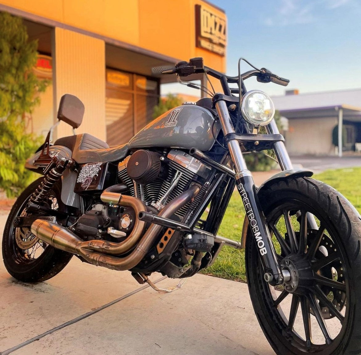 Imzz Elite Dive Bars