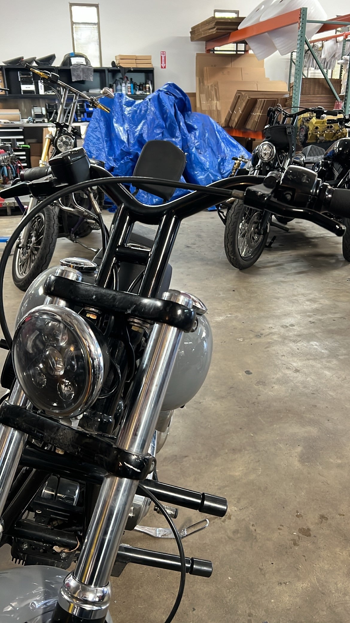 dyna-ita Imzz Elite Dive Bars