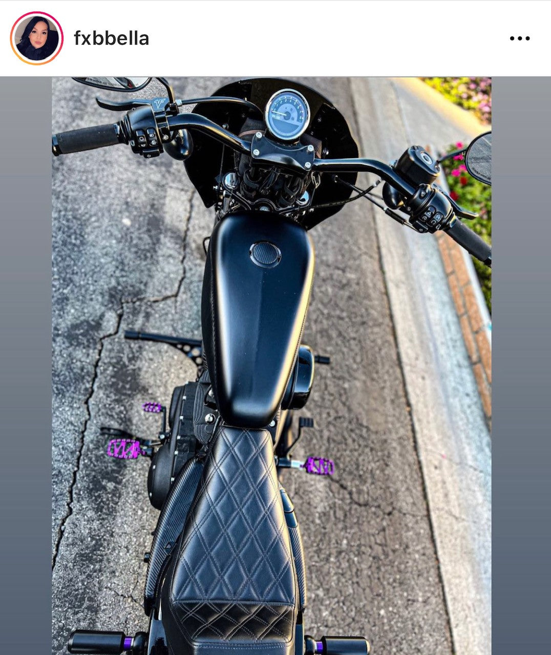 Imzz Elite 2.0 Crash Bar for Sportster