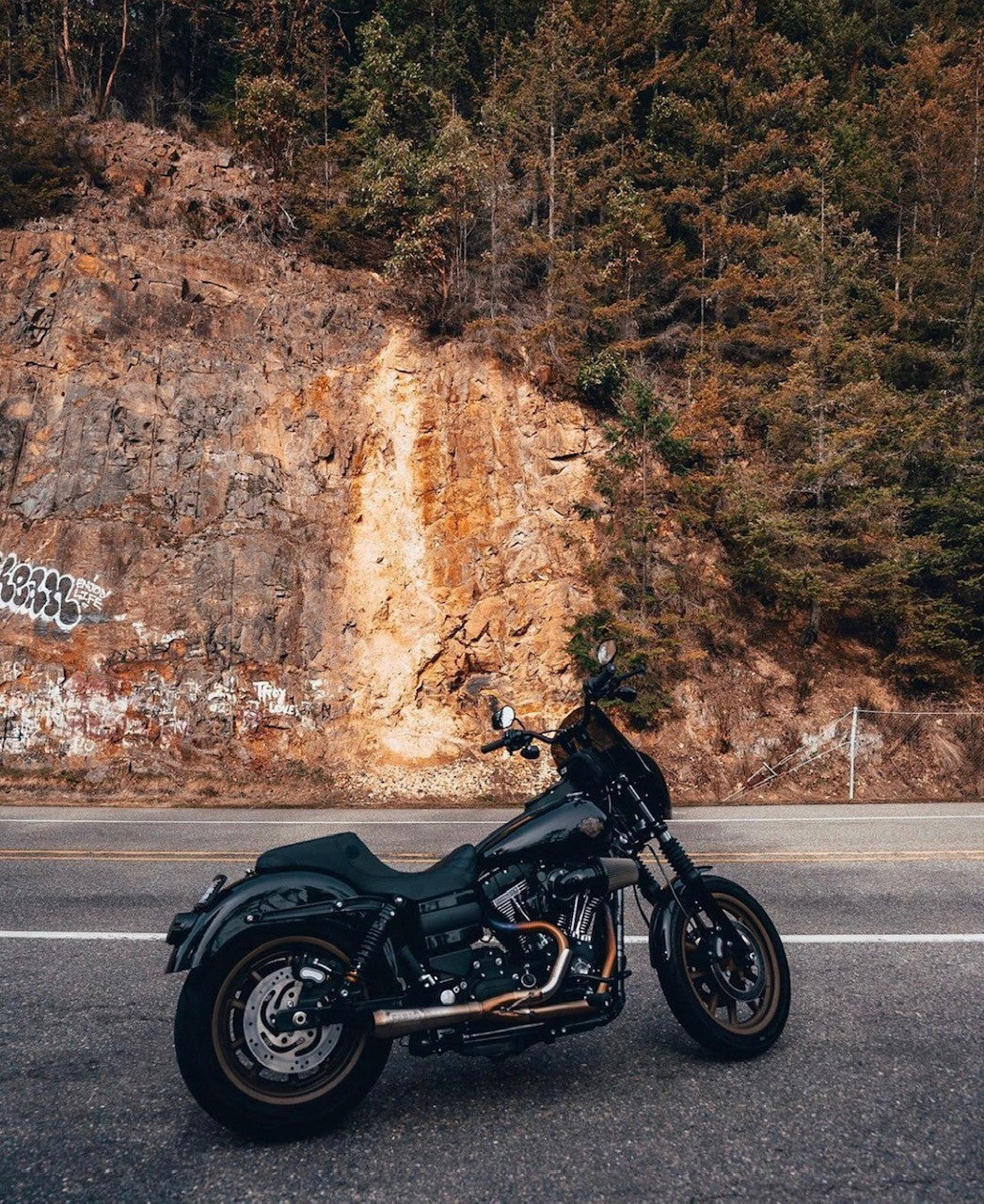 Imzz Elite 92-17 Dyna Full Rear Fender Conversion