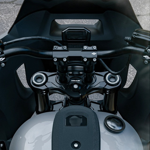 M8 Softail Inverted front end