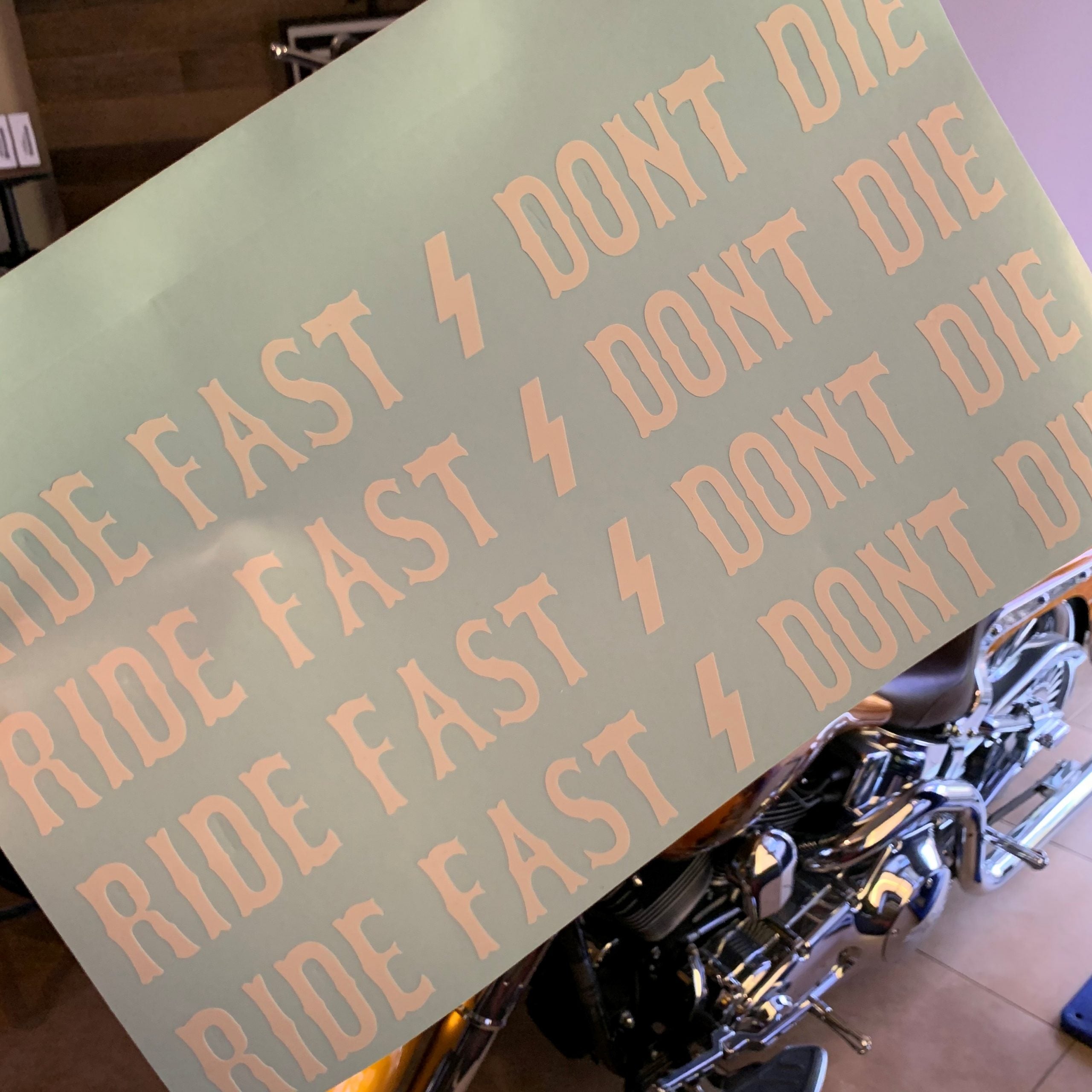 Ride Fast / Dont Die Swingarm Sticker