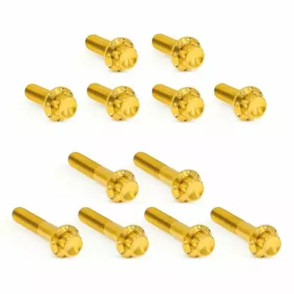 harley performance bagger titanium bolt kits