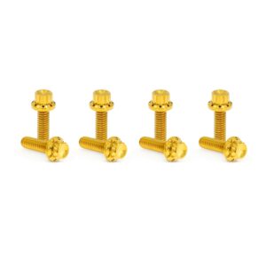 harley 12-point hardware bolt kits