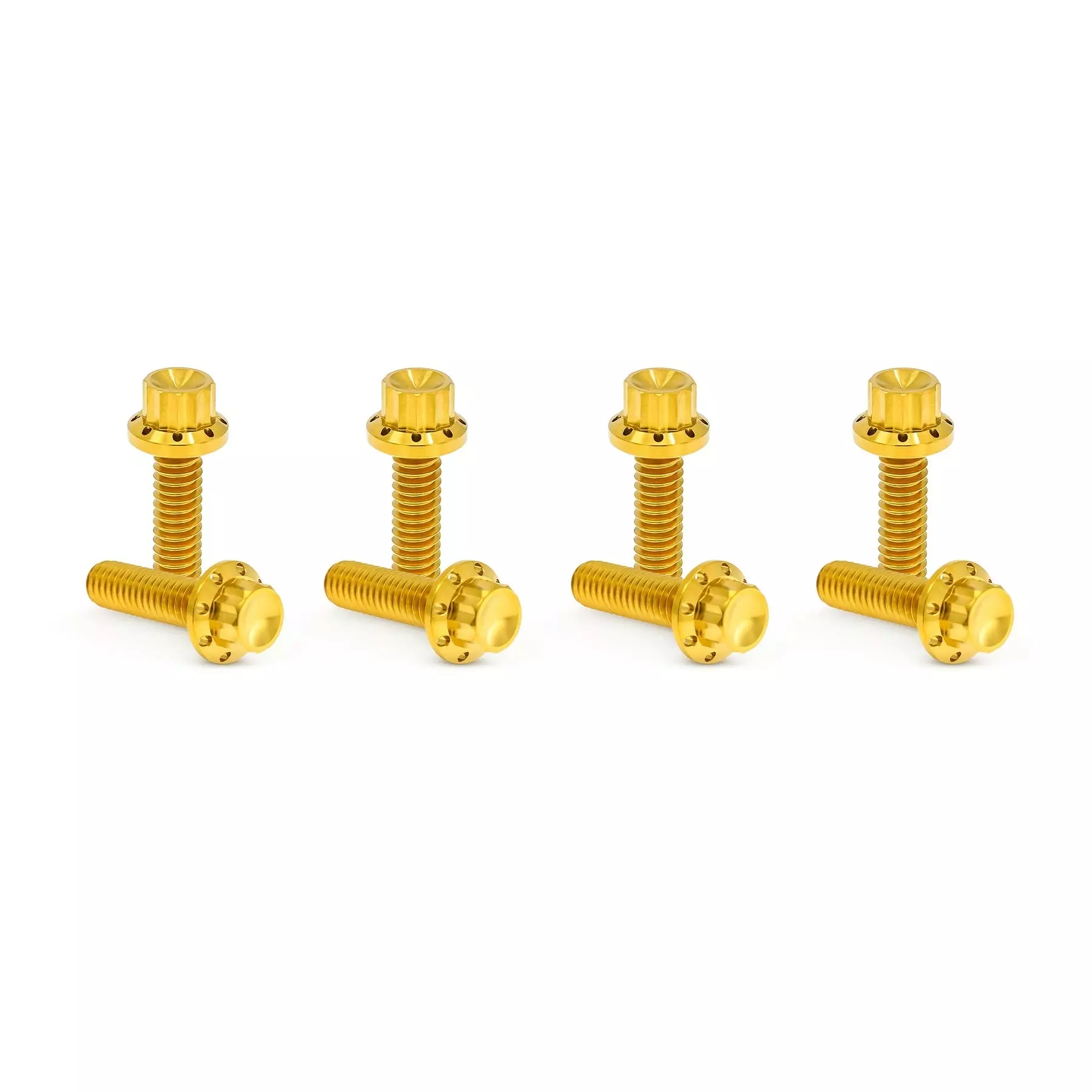 harley 12-point hardware bolt kits