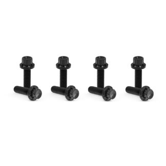 harley 12-point hardware bolt kits